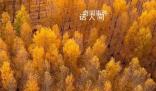 用中國傳統(tǒng)色打開秋天 一起感受多彩秋日下的大美中國