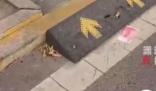 街道現(xiàn)滿(mǎn)地百元大鈔路人笑稱(chēng)不敢撿 目前已經(jīng)找到失主