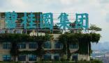 碧桂園創(chuàng)始人賣私人飛機償債 目前公司9只境內(nèi)債已成功展期