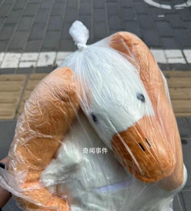 網(wǎng)購(gòu)電動(dòng)車到貨是玩偶 京東介入