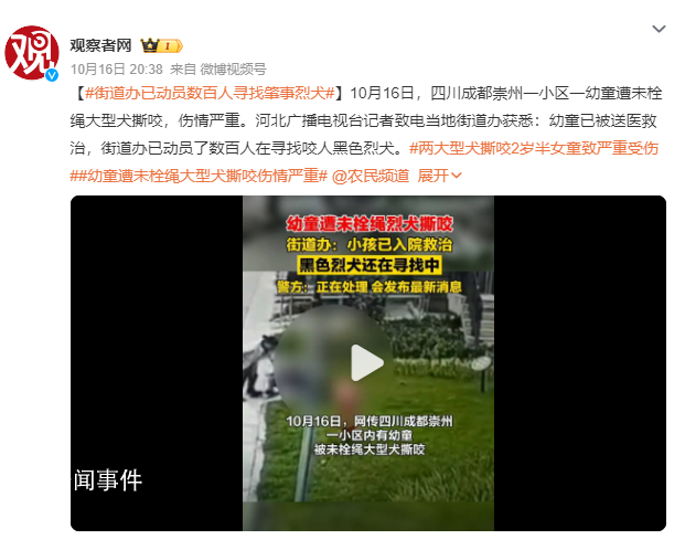 街道辦已動(dòng)員數(shù)百人尋找肇事烈犬
