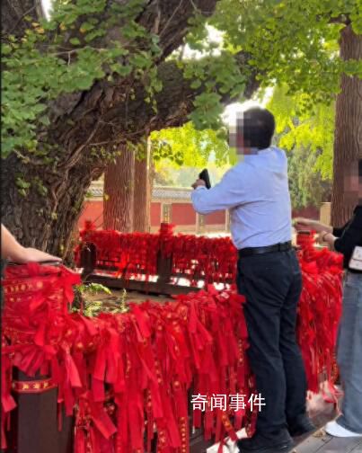 景區回應男子掐掉千年銀杏樹葉 抓到會被罰款