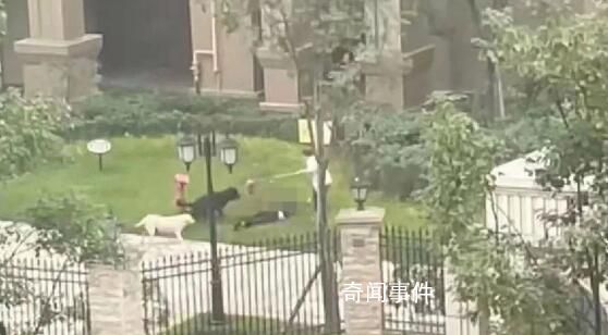 惡犬撕咬女童 狗主人會(huì)被判刑嗎?