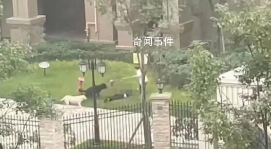 女童母親:要追究物業和狗主人責任