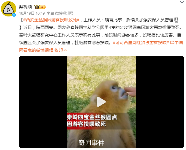 金絲猴因游客投喂而死?園方回應(yīng)