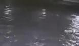上海黃浦江兩船碰撞一船員落水失聯(lián) 事故原因正在進(jìn)一步調(diào)查中