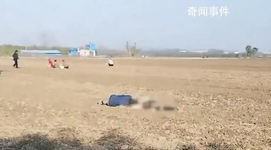 老人疑撿花生被卷入收割機(jī)身亡 警方已經(jīng)介入處理此事