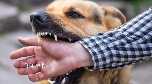 狂犬病潛伏期長達(dá)十幾年?別信