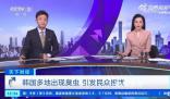 臭蟲(chóng)入侵韓國(guó)多地 引發(fā)了民眾不安