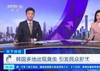 臭蟲入侵韓國多地 引發了民眾不安