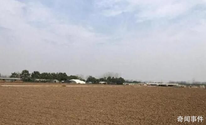 撿花生身亡老人家屬回應惡評 人家花生已經收完不要了那不是搶