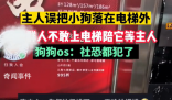小狗被落電梯外一群鄰居陪著等 網(wǎng)友贊嘆：什么神仙鄰居