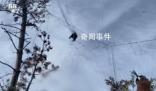 國家級(jí)保護(hù)區(qū)山上遍布捕鳥網(wǎng) 當(dāng)?shù)貙ｍ?xiàng)整治