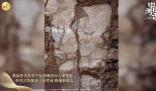 陜西發(fā)現(xiàn)元稹第二任妻子裴淑墓 二人的愛(ài)情故事也廣為流傳