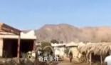 不明發(fā)射物落入埃及西奈半島城鎮(zhèn)