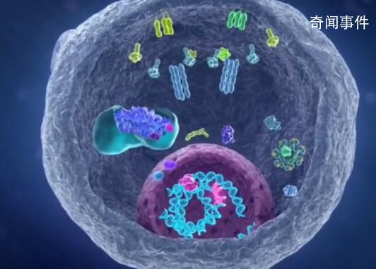 科學(xué)家找到癌細(xì)胞的生死開關(guān)