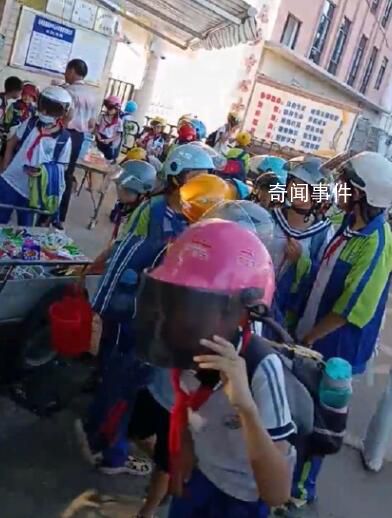 官方辟謠河南農(nóng)戶高粱被村民搶收