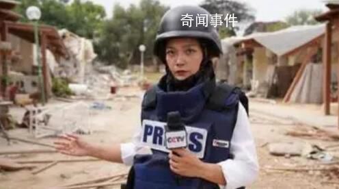 爸媽看電視才知女兒是戰(zhàn)地記者 陳慧慧個人資料簡介