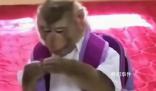 “嗎嘍”占領(lǐng)了年輕人的生活圈