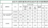 班宇等多名作家考取武漢文聯(lián)編制