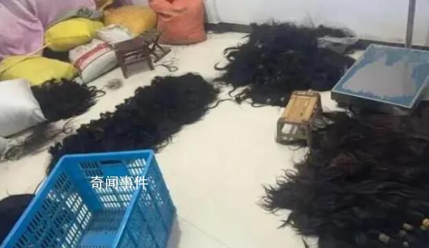 價(jià)值70萬頭發(fā)被盜民警48小時(shí)追回