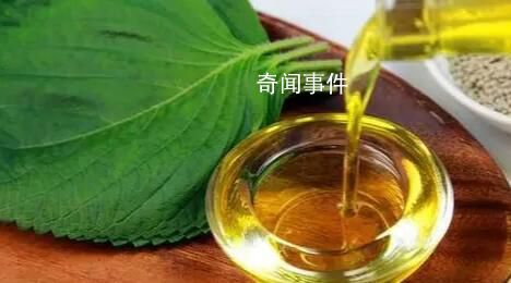 調和油不如動物油?這些誤區你中了幾個