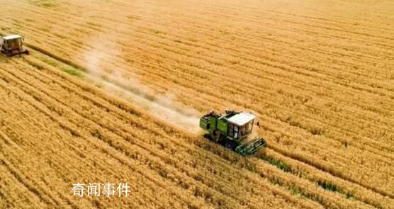 筑牢中國糧食安全“壓艙石” 全國秋糧收獲進(jìn)度達(dá)96.2%