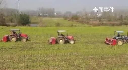 全國秋冬種進度已超98% 冬小麥面積將繼續保持穩定