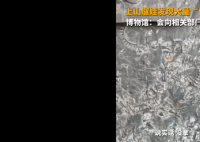 5歲男孩發(fā)現(xiàn)5億年前古生物化石 這也引發(fā)了網(wǎng)友的熱議