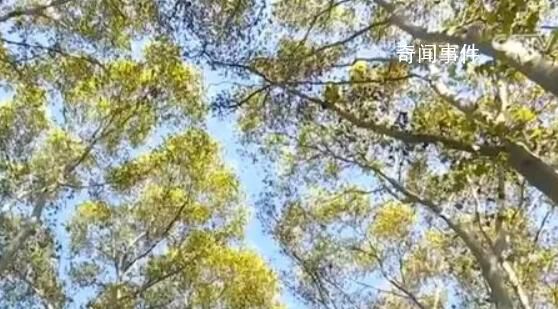 多彩旅游模式拉動新消費 好風景拉動新消費
