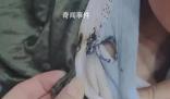 天降煙頭6歲男童棉衣被燙穿 差點(diǎn)燒傷到了皮膚
