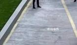 福建醫(yī)科大學(xué)一研究生墜亡 曾向好友抱怨過課題進(jìn)展受限