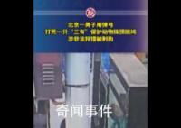 男子打死一只珠頸斑鳩被刑拘 頂風(fēng)作案最終自食苦果