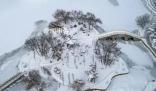東北是捅了雪窩了 東北經歷11月第五輪降雪