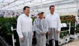 馬云前助理:馬家廚房不做預制菜
