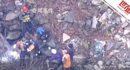 日本一棕熊尸體內(nèi)發(fā)現(xiàn)人體殘骸 驗尸后確認(rèn)為登山死亡的大學(xué)生