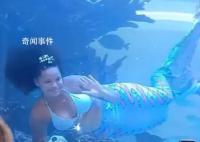 南非美人魚表演時尾部被卡住 還好最后成功脫掉演出服游走成功脫困