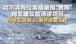 哈爾濱回應網(wǎng)友建議取消狗拉爬犁 引起許多網(wǎng)友關注