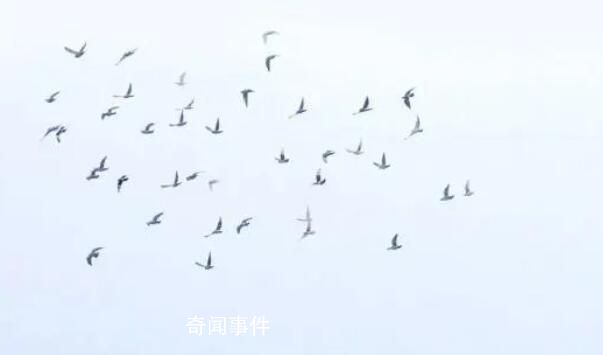 全網等待的故宮初雪圖來了