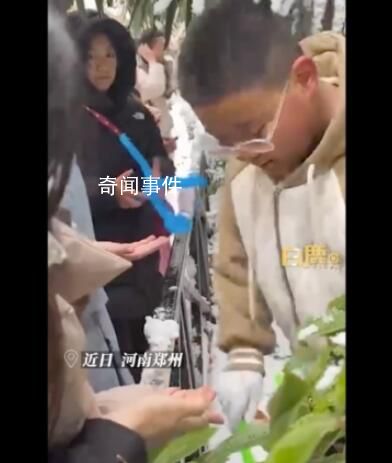 小孩哥夾雪熊哄大學生忙成流水線 忙的不可開交