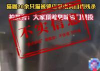 貓咖20只貓餓到互相殘殺?店主回應(yīng)