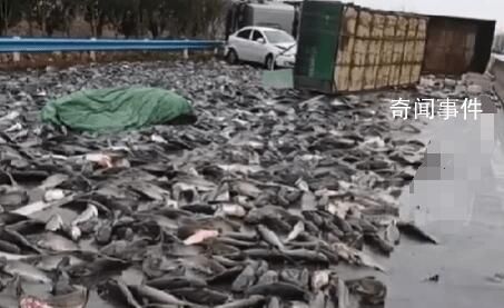 貨車雨雪天側翻魚撒落一地 引起了當地居民的關注