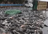 貨車雨雪天側(cè)翻魚(yú)灑落一地