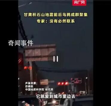 甘肅地震前后烏鴉成群?專(zhuān)家解讀