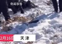 男子冬釣失聯 遺體在冰縫中被發現