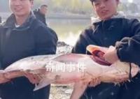 高校內(nèi)湖撈3000斤魚直送食堂 湖南一高校請(qǐng)全校吃全魚宴