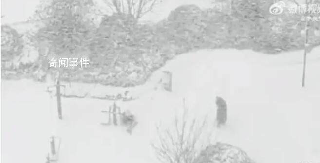 “王炸”級(jí)寒潮 塔克拉瑪干沙漠迎來(lái)今冬首場(chǎng)降雪