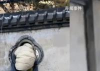 女子拿快遞為抄近路每次都鉆洞 戲稱：你是一點(diǎn)也不往旁邊看啊
