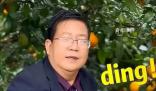 廣西武鳴沃柑“橘長(zhǎng)”魔性宣傳
