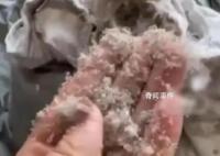 女子稱波司登羽絨服剪開全是碎末 此事在網(wǎng)上引發(fā)熱議